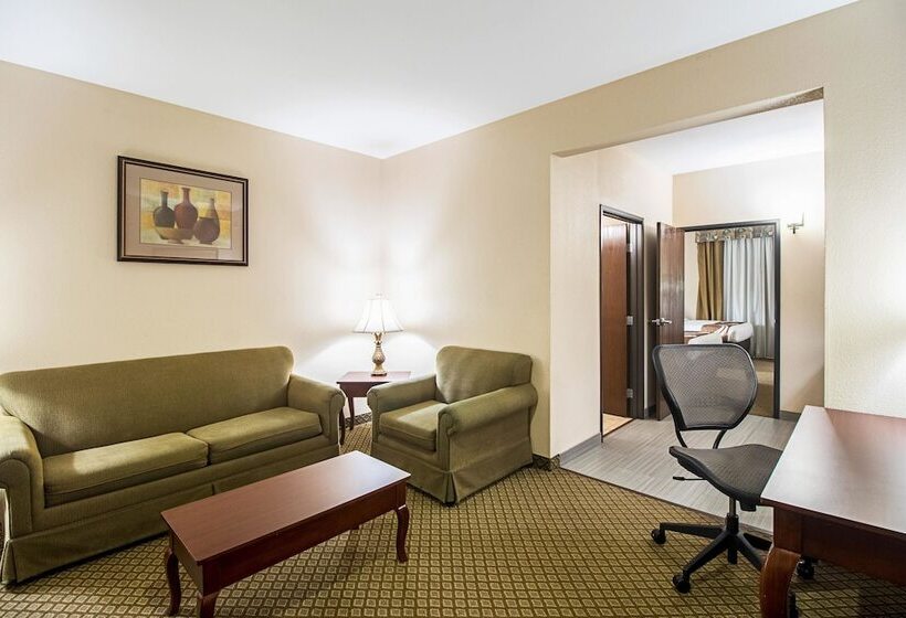 酒店 Quality Inn & Suites