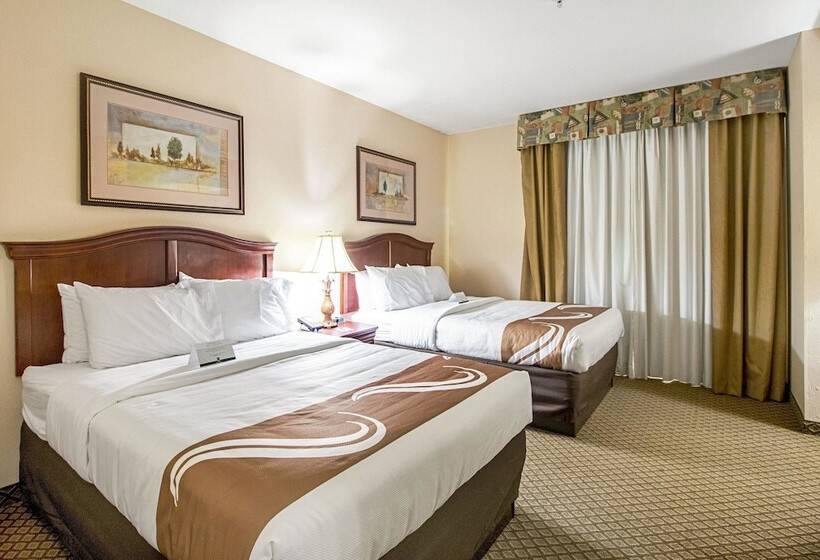 酒店 Quality Inn & Suites