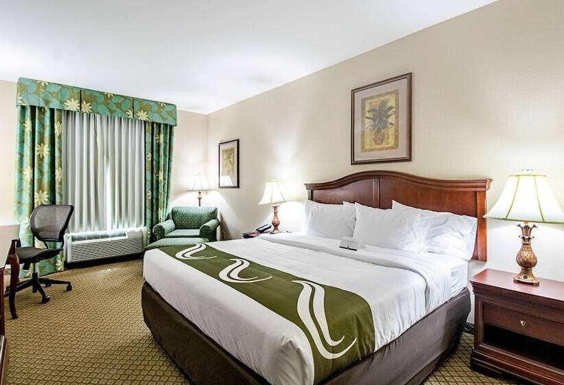 酒店 Quality Inn & Suites