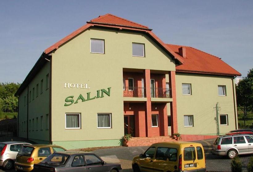 هتل Salin