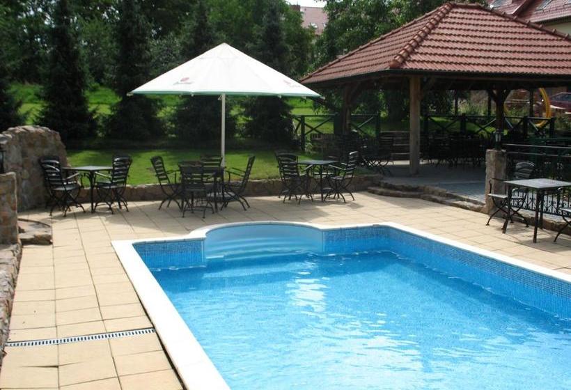 בית מלון כפרי Salin