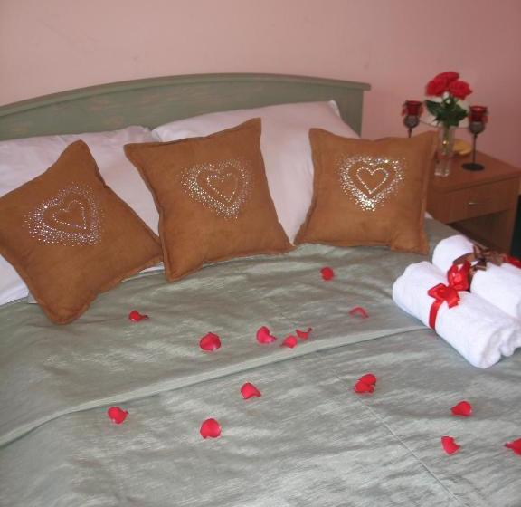 בית מלון כפרי Salin