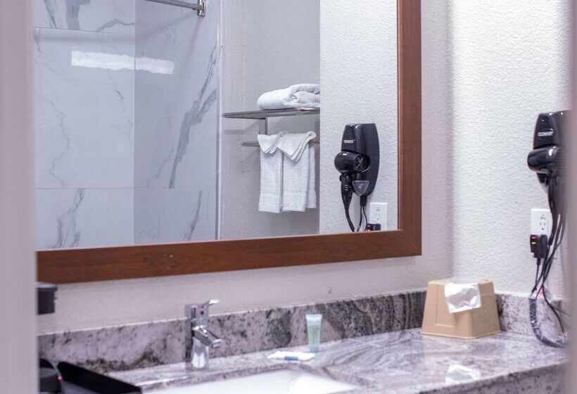 Отель Surestay Plus By Best Western Fort Worth Benbrook