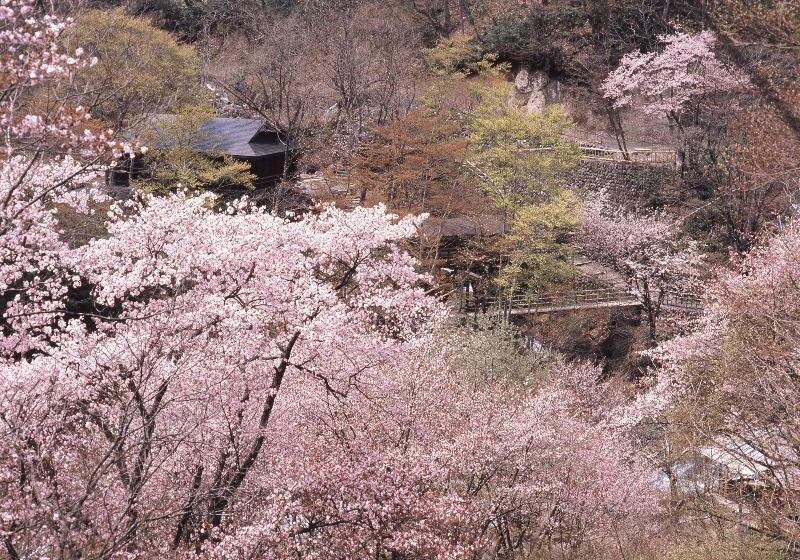 호텔 Takaragawa Onsen Ousenkaku