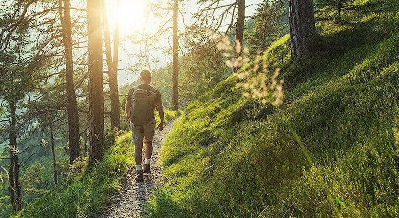 فندق The Smoke House Lodge