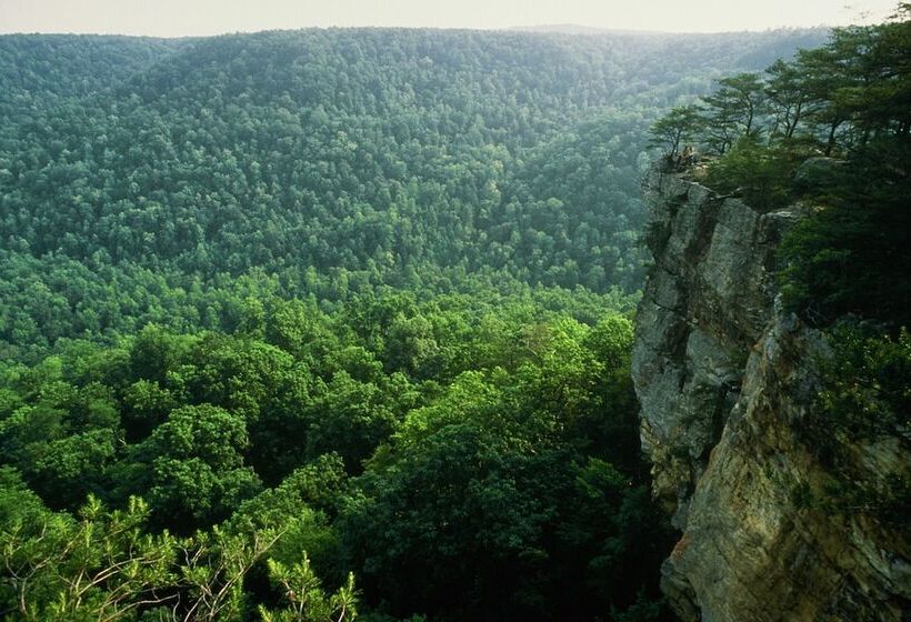 فندق The Smoke House Lodge