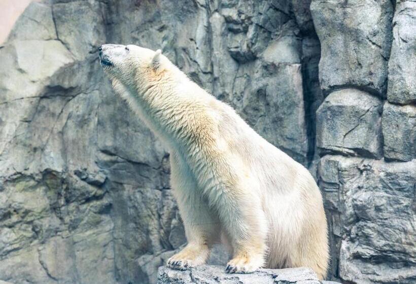 호텔 Toyoko Inn Akita-eki Higashi-guchi