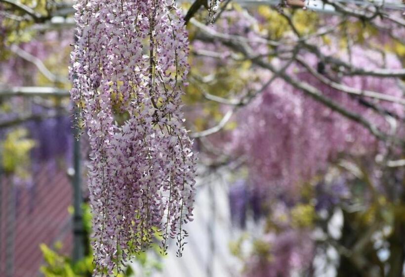 בית מלון כפרי Toyoko Inn Higashi-hiroshima Ekimae