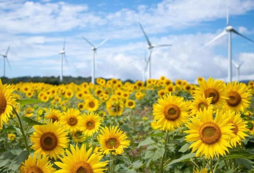 酒店 Toyoko Inn Koriyama