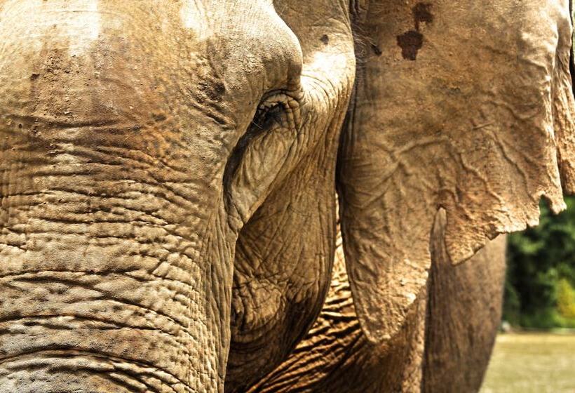 Le Bel Air Resort Luang Prabang