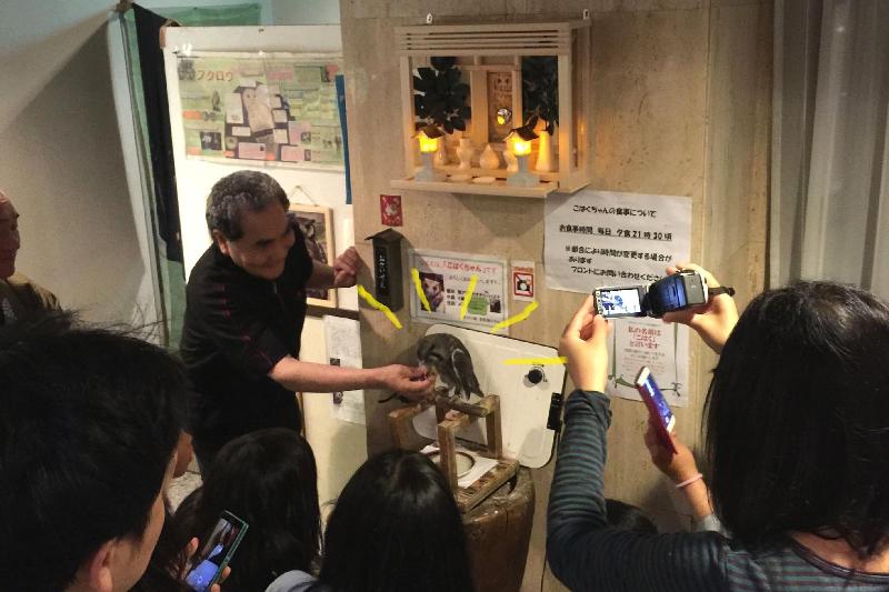 مبيت وإفطار Wano Resort Hazu