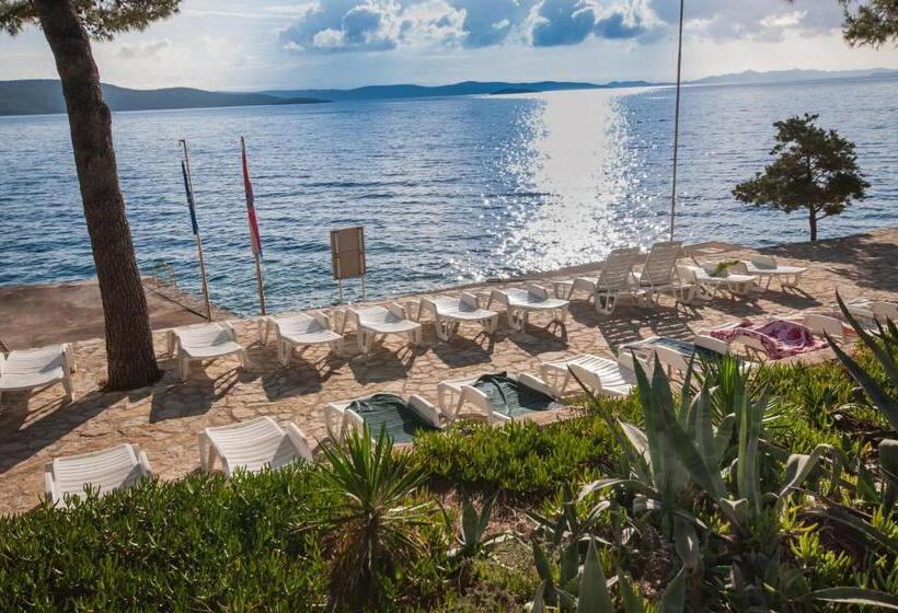 בית מלון כפרי Agava