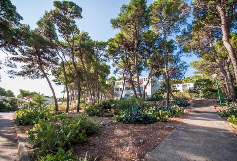 בית מלון כפרי Agava