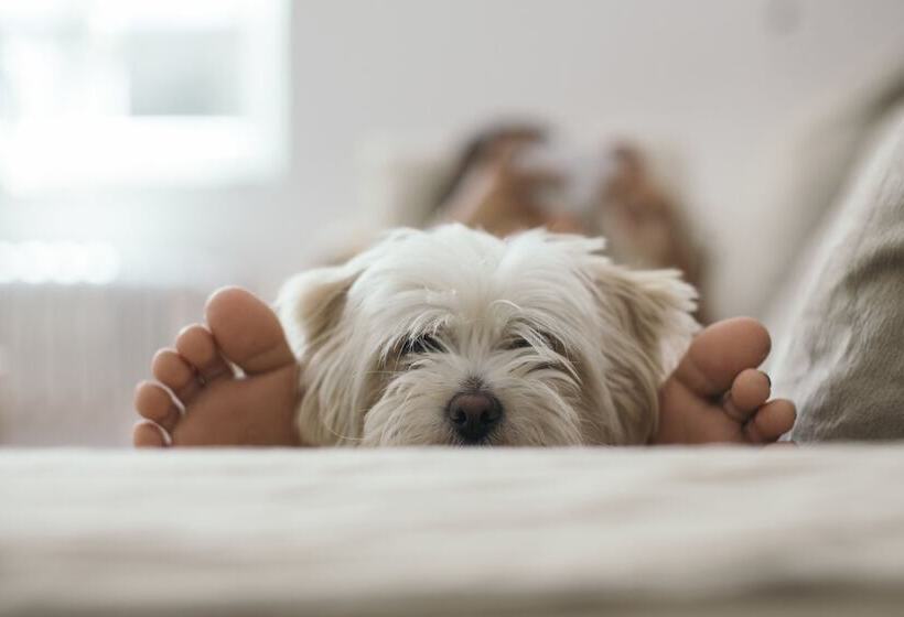 فندق Candlewood Suites Boise Meridian, An Ihg