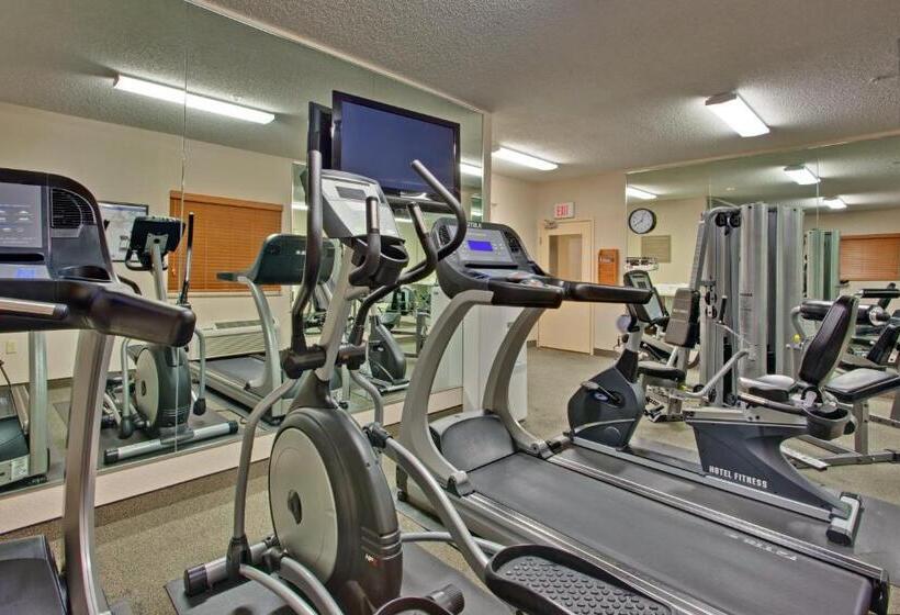 בית מלון כפרי Candlewood Suites Nogales, An Ihg