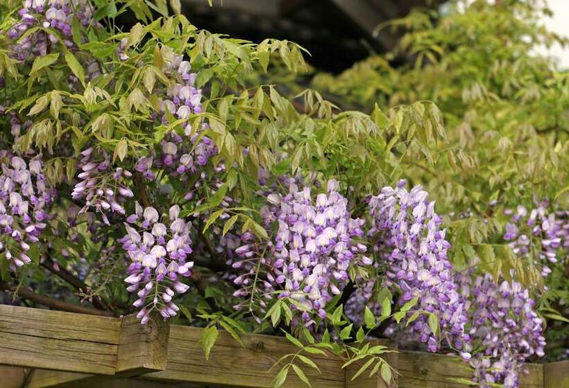 فندق Chikurinin Gunpoen