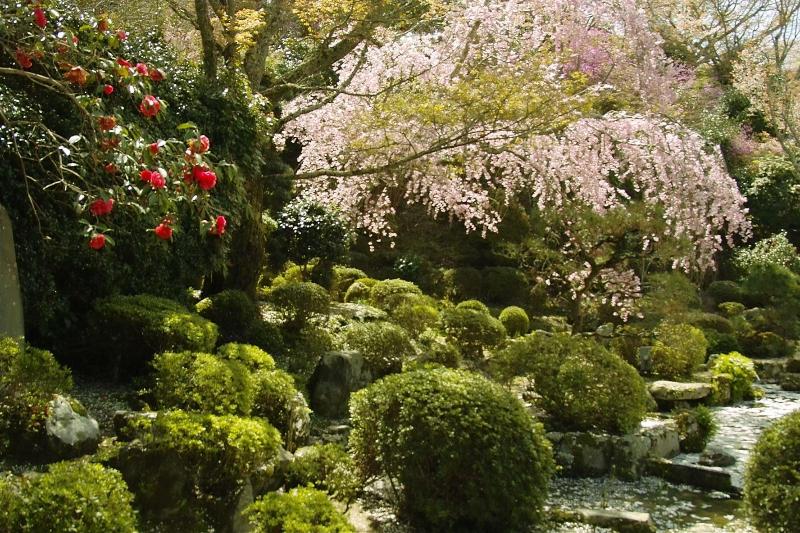 فندق Chikurinin Gunpoen