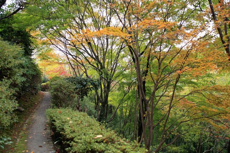 فندق Chikurinin Gunpoen