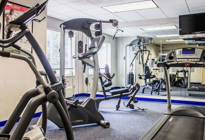 בית מלון כפרי Comfort Inn & Suites