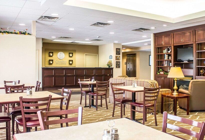 בית מלון כפרי Comfort Inn & Suites