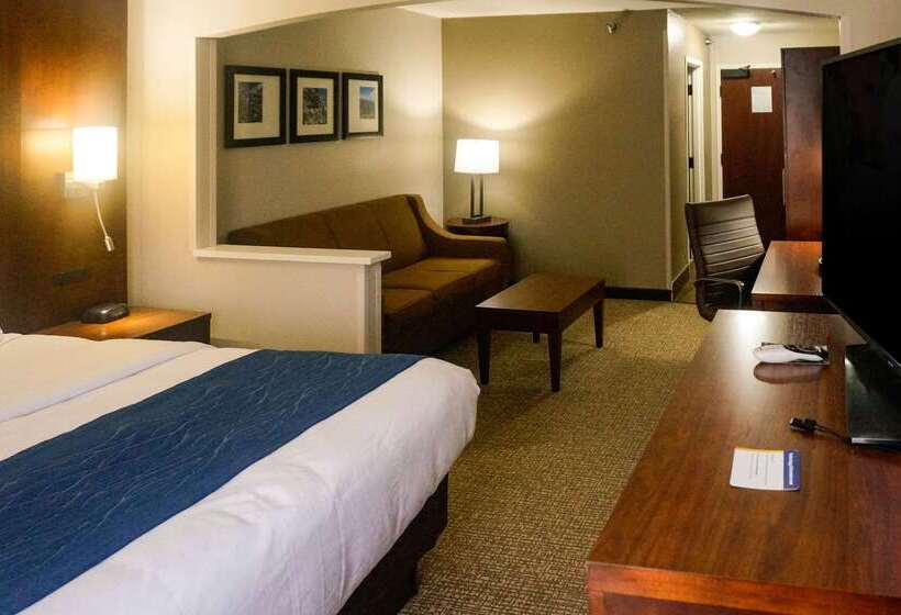 فندق Comfort Inn & Suites Conway