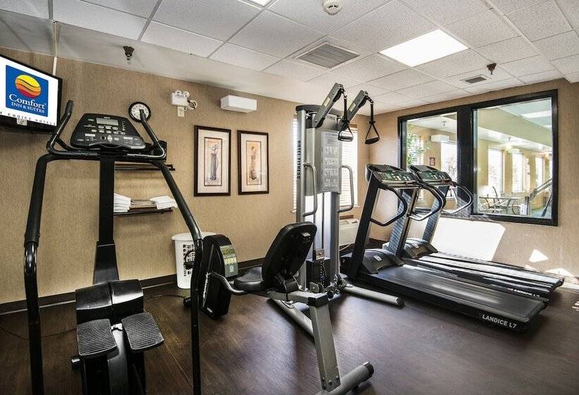 Отель Comfort Inn & Suites Conway