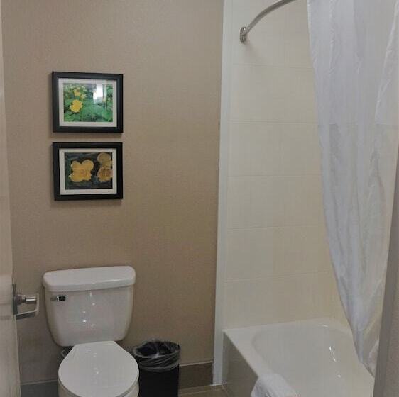 فندق Comfort Inn & Suites Conway