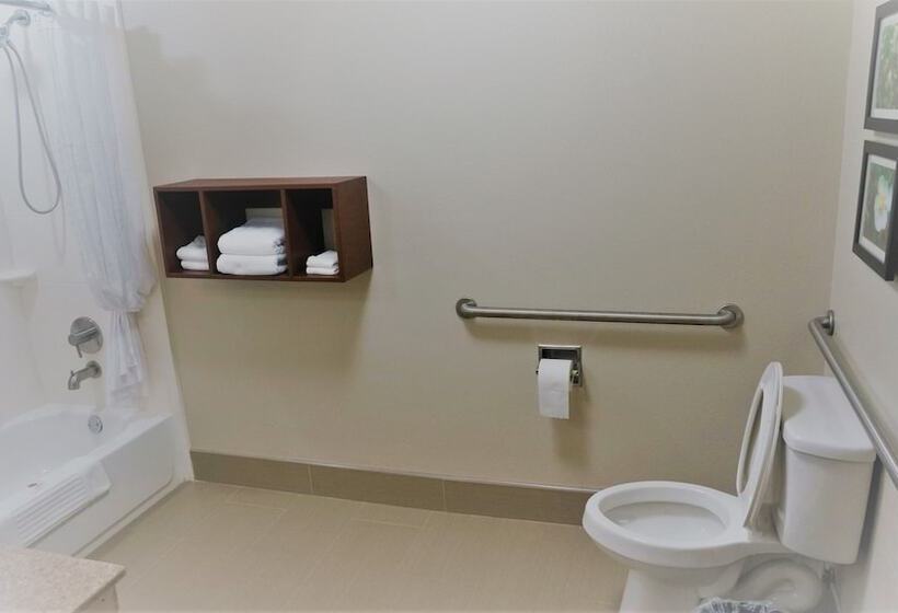 Отель Comfort Inn & Suites Conway