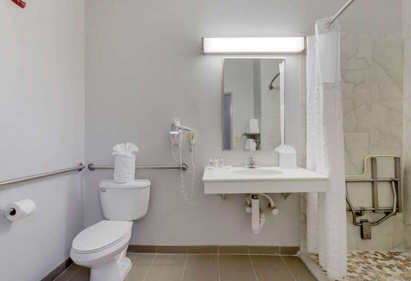 בית מלון כפרי Comfort Suites La Porte