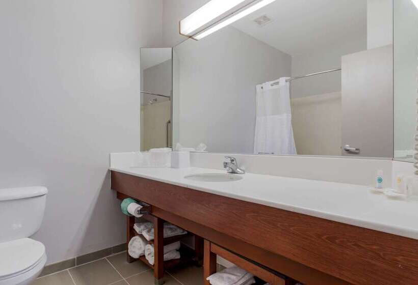 בית מלון כפרי Comfort Suites La Porte