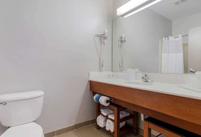 فندق Comfort Suites La Porte