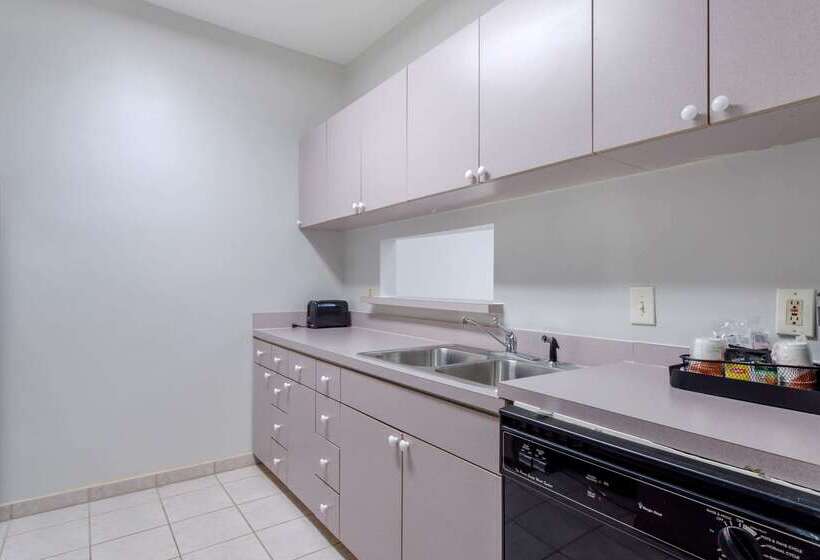 فندق Comfort Suites La Porte