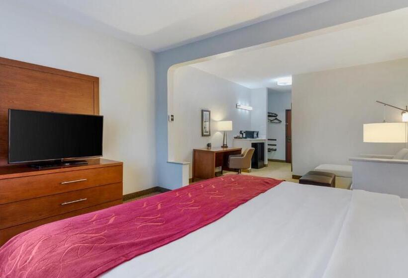 فندق Comfort Suites La Porte