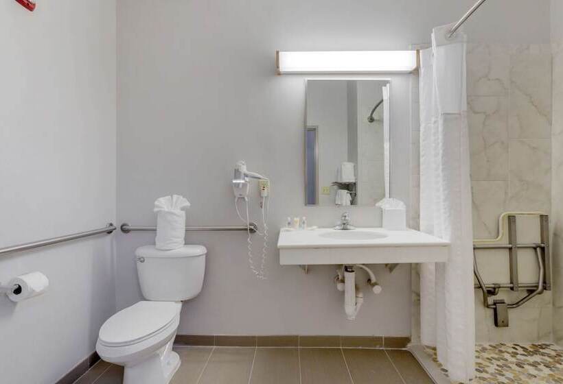 בית מלון כפרי Comfort Suites La Porte