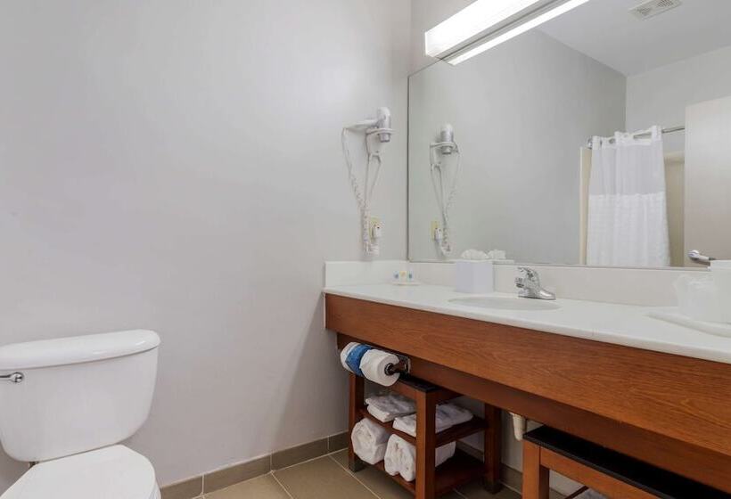 فندق Comfort Suites La Porte