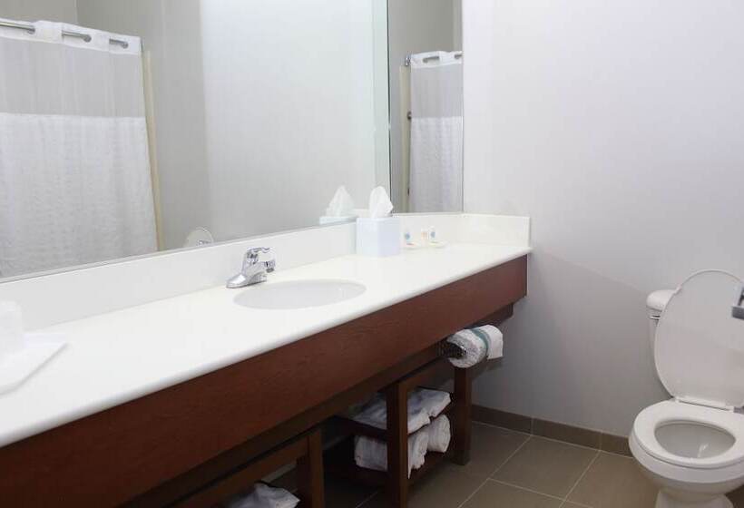 בית מלון כפרי Comfort Suites La Porte
