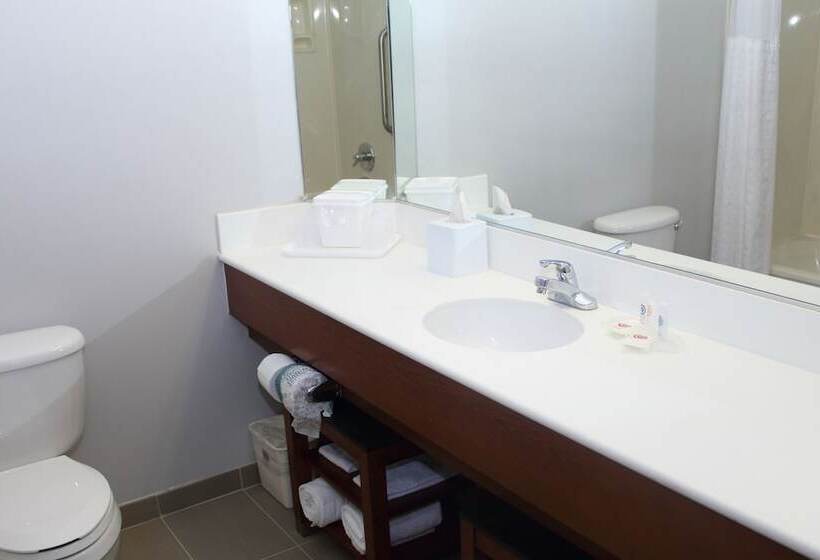 فندق Comfort Suites La Porte