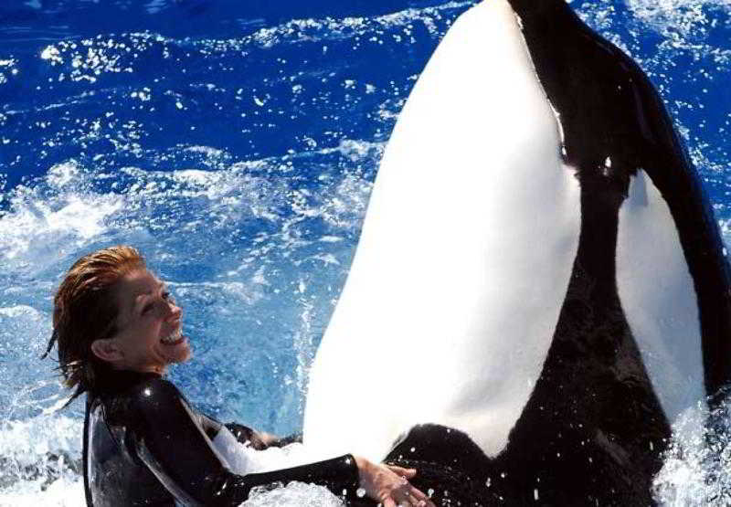 酒店 Courtyard By Marriott San Diego Carlsbad