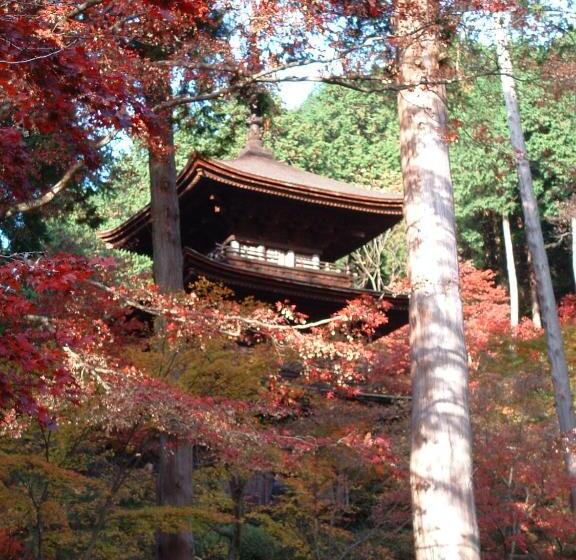 בית מלון כפרי Dantokan Kikunoya