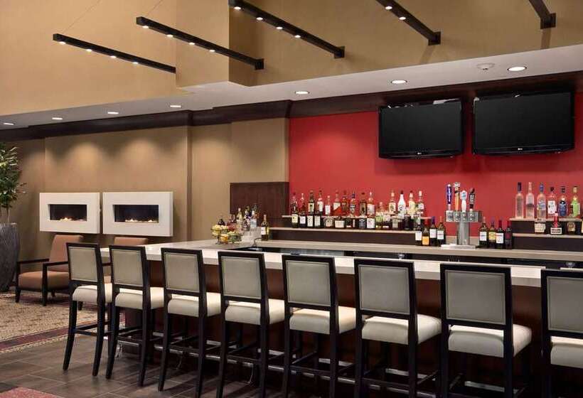 هتل Embassy Suites By Hilton St. Louis Downtown