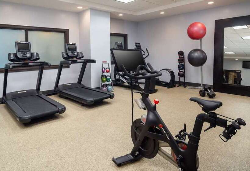 فندق Embassy Suites By Hilton St. Louis Downtown