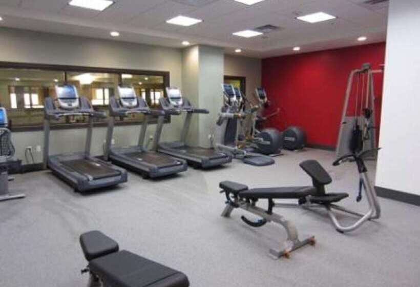 هتل Embassy Suites By Hilton St. Louis Downtown
