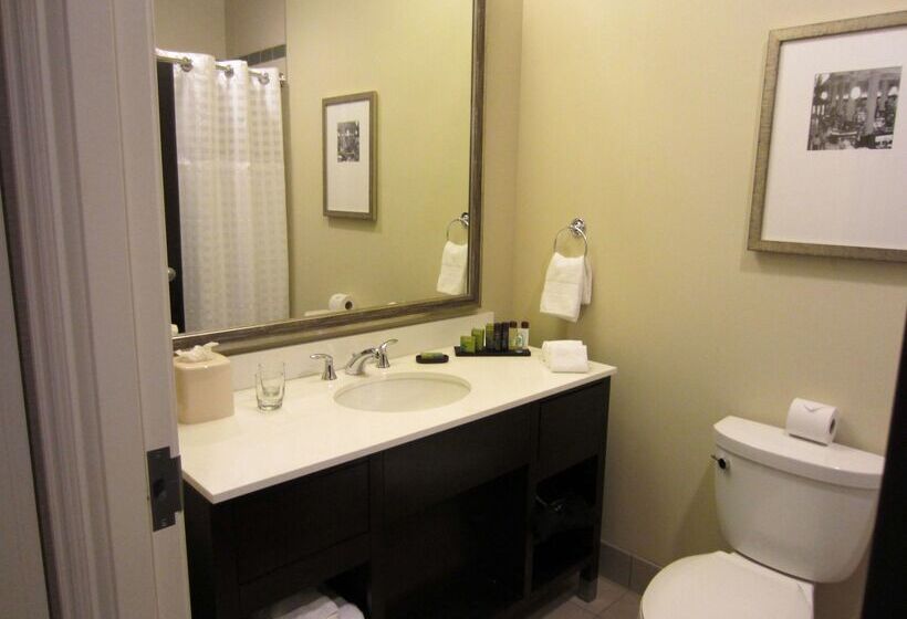 فندق Embassy Suites By Hilton St. Louis Downtown