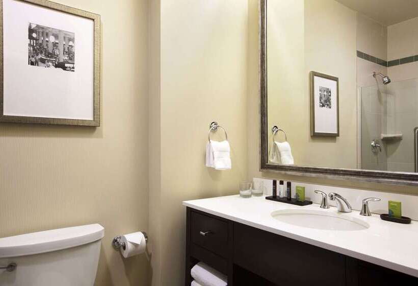 هتل Embassy Suites By Hilton St. Louis Downtown
