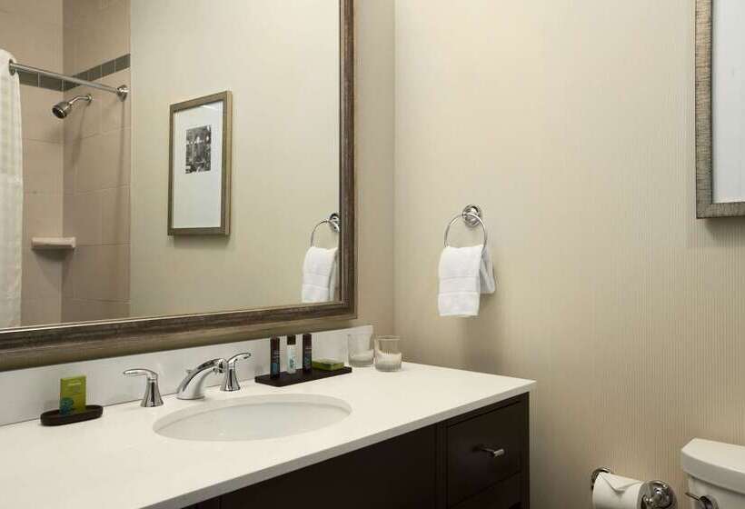 فندق Embassy Suites By Hilton St. Louis Downtown