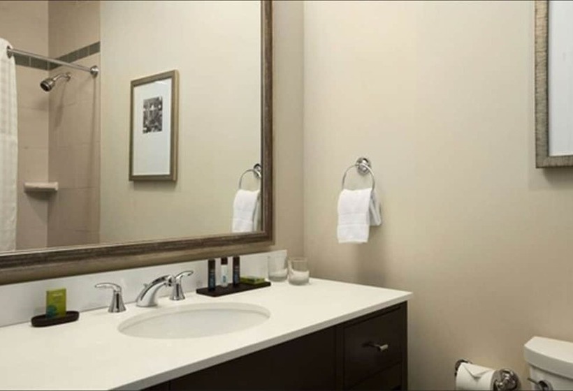 فندق Embassy Suites By Hilton St. Louis Downtown