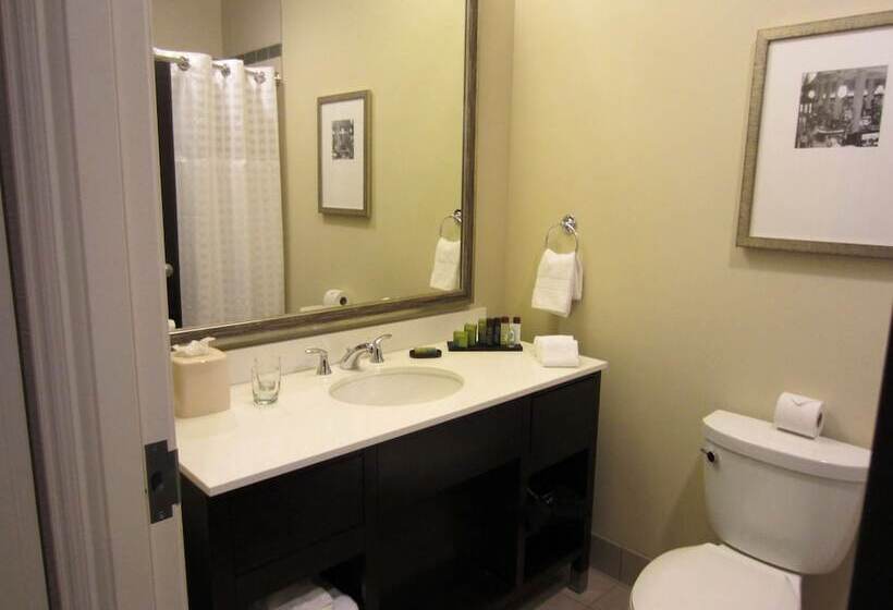 فندق Embassy Suites By Hilton St. Louis Downtown