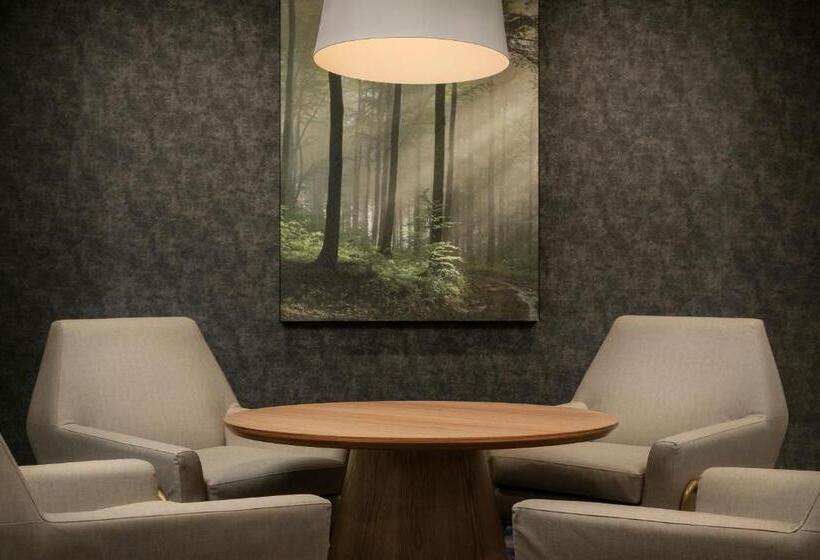 هتل Fairfield Inn & Suites By Marriott Chattanooga South East Ridge