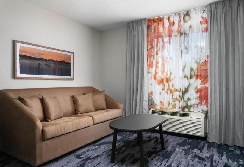 هتل Fairfield Inn & Suites By Marriott Chattanooga South East Ridge