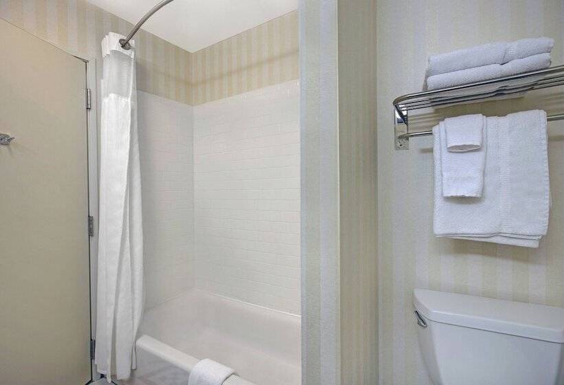 هتل Fairfield Inn And Suites Carlsbad